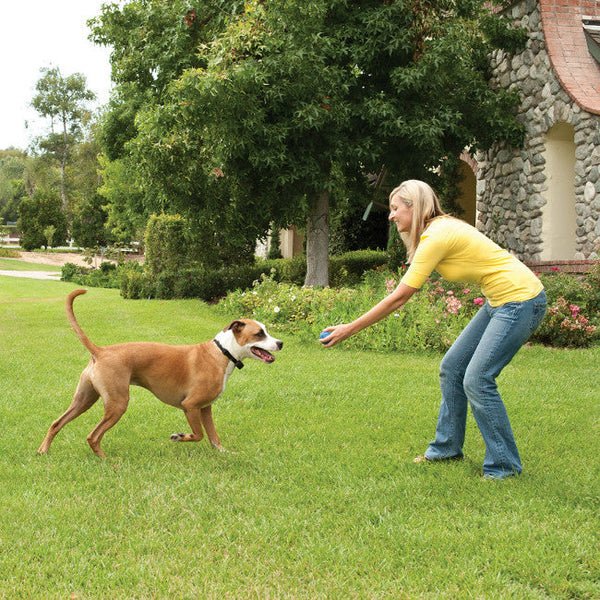 PetSafe® Stay & Play™ Compact Wireless Fence