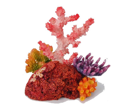 Pink Coral - Just For Pets Australia