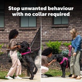 PetSafe Collarless Trainer