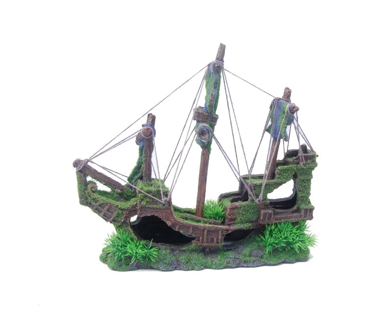 Sailing Ship with Moss