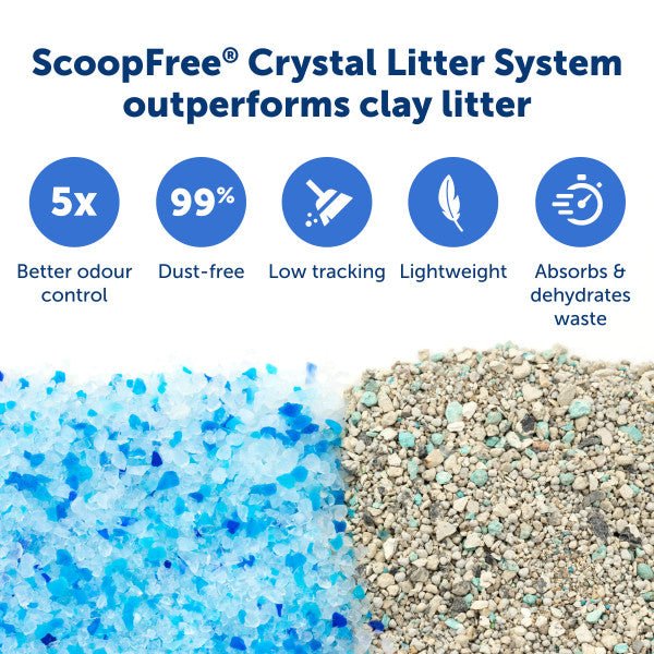 ScoopFree Crystal Classic Self-Cleaning Litter Box