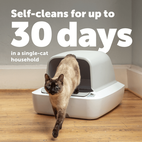 ScoopFree Crystal Pro Self-Cleaning Litter