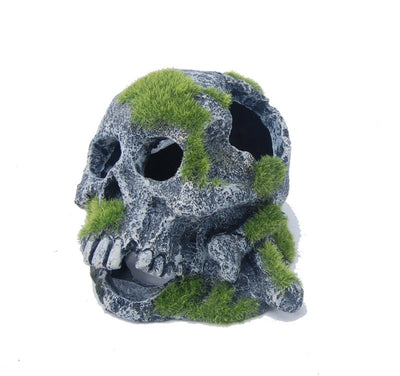 Skull with Moss - Just For Pets Australia