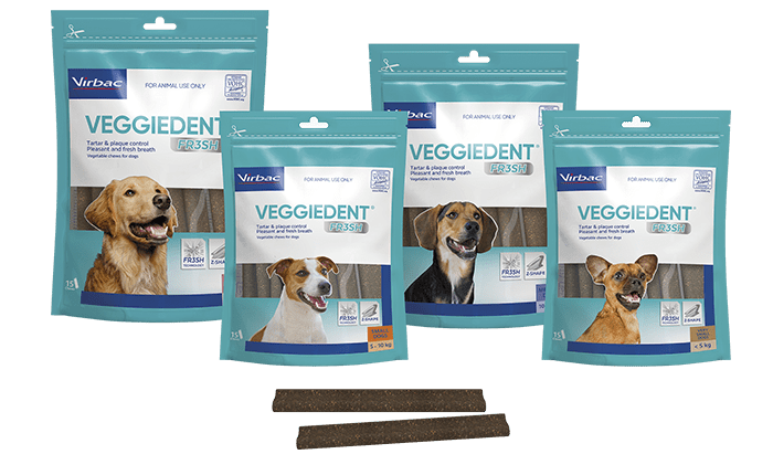 VEGGIEDENT® FR3SH Dental Chews 15 Pack
