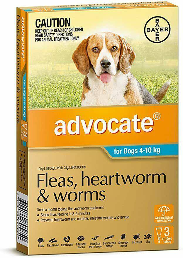 Advocate Fleas, Heartworm & Worms For Dogs 4 - 10kg