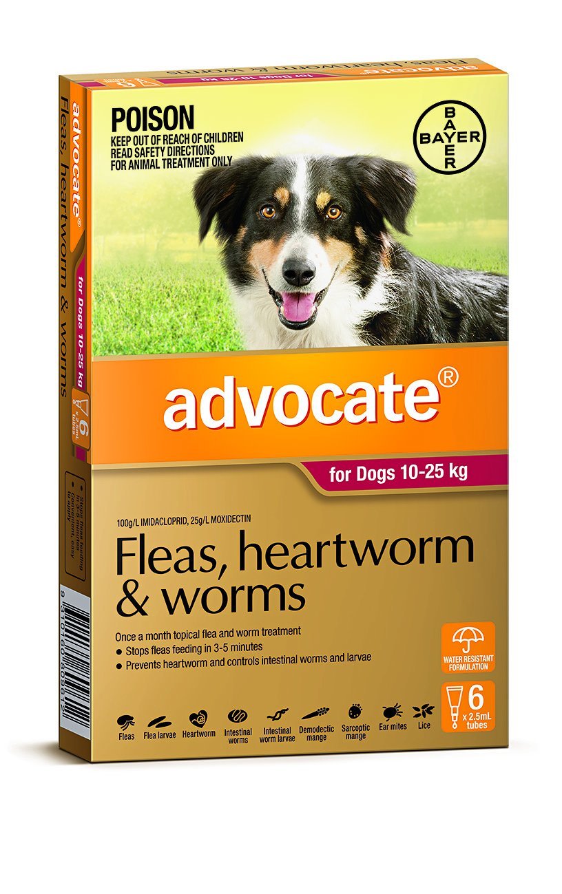 Advocate Fleas, Heartworm & Worms For Dogs 10 - 25kg