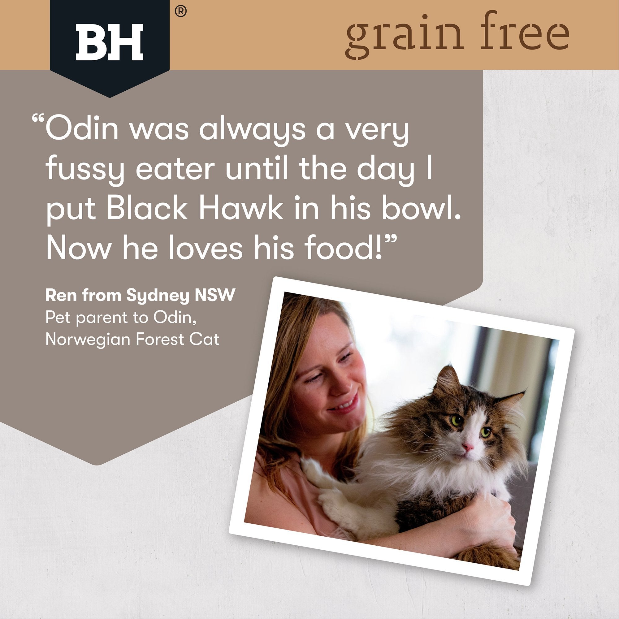 Black Hawk Grain Free Mature Chicken With Salmon In Jelly Wet Cat Food Pouches 85G