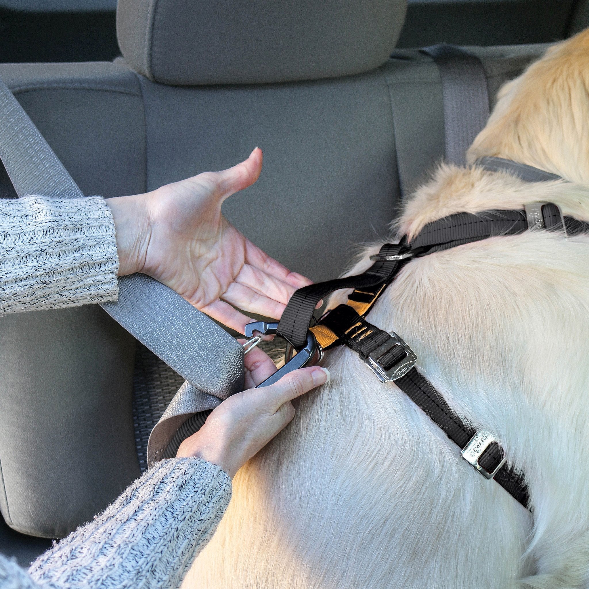 Kurgo Enhanced Strength Tru-Fit Dog Car Harness