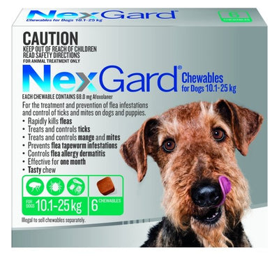 NexGard For Medium Dog 10.1 - 25kg - Just For Pets Australia