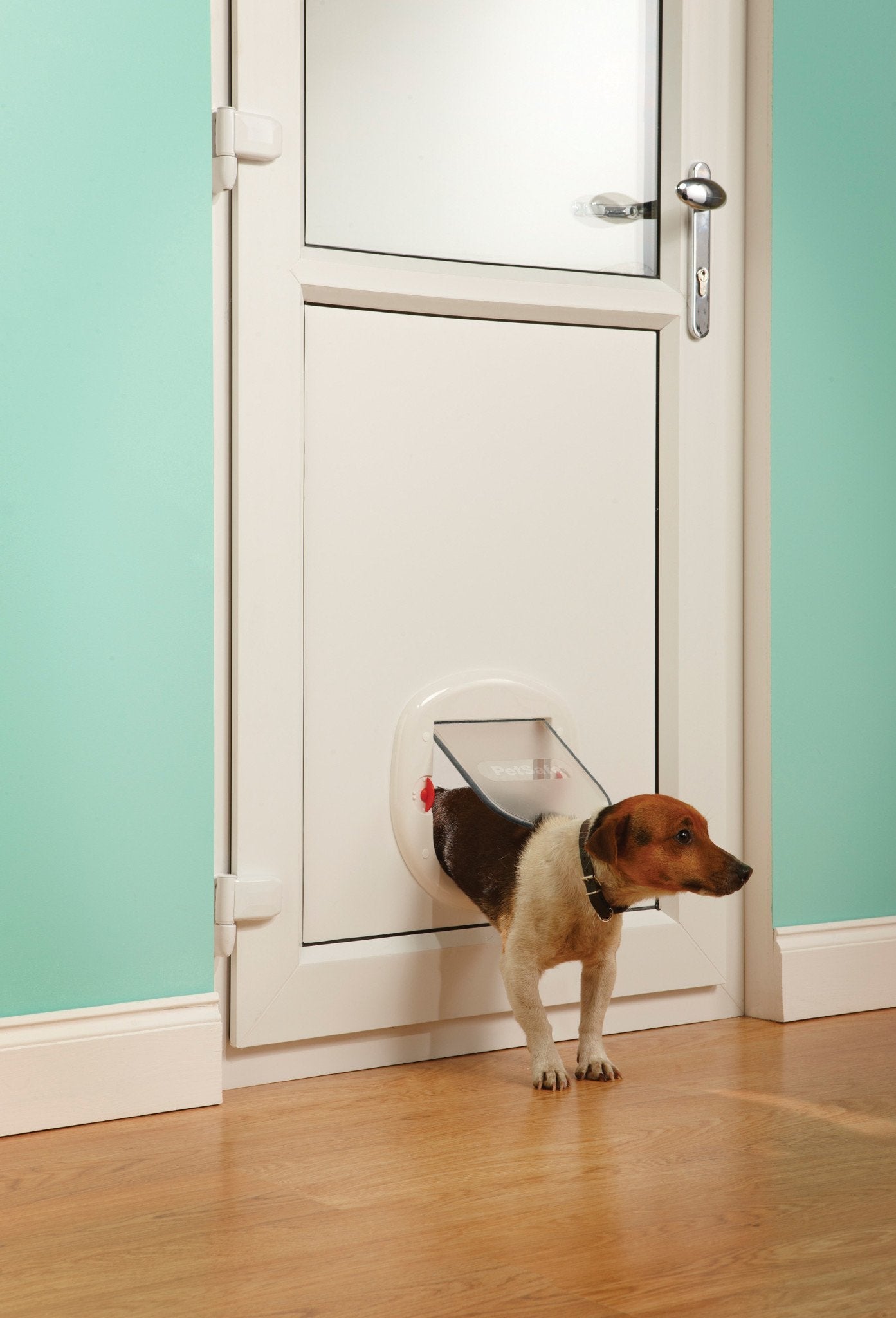 PetSafe® Staywell® Big Cat/Small Dog Pet Door, White