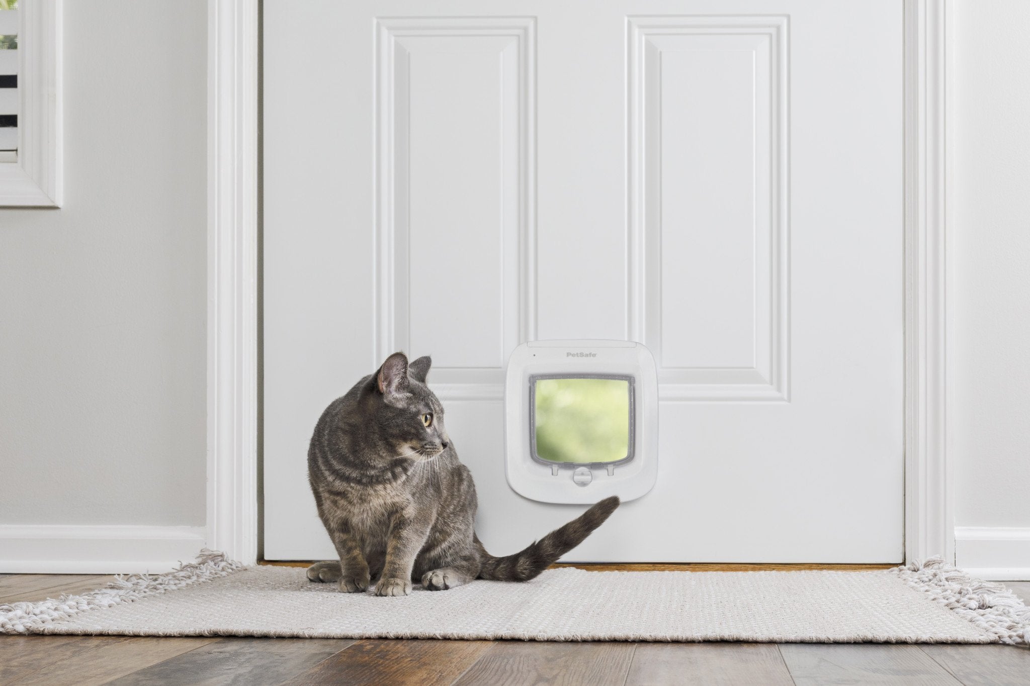 PetSafe® Microchip Cat Flap