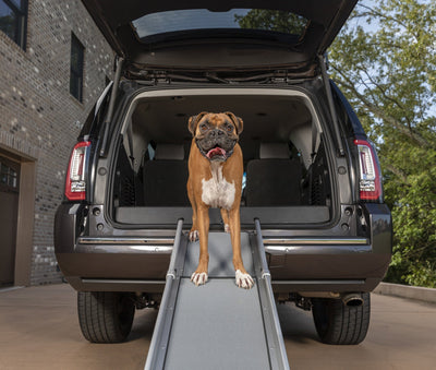 PetSafe® Happy Ride™ Compact Telescoping Dog Ramp - Just For Pets Australia