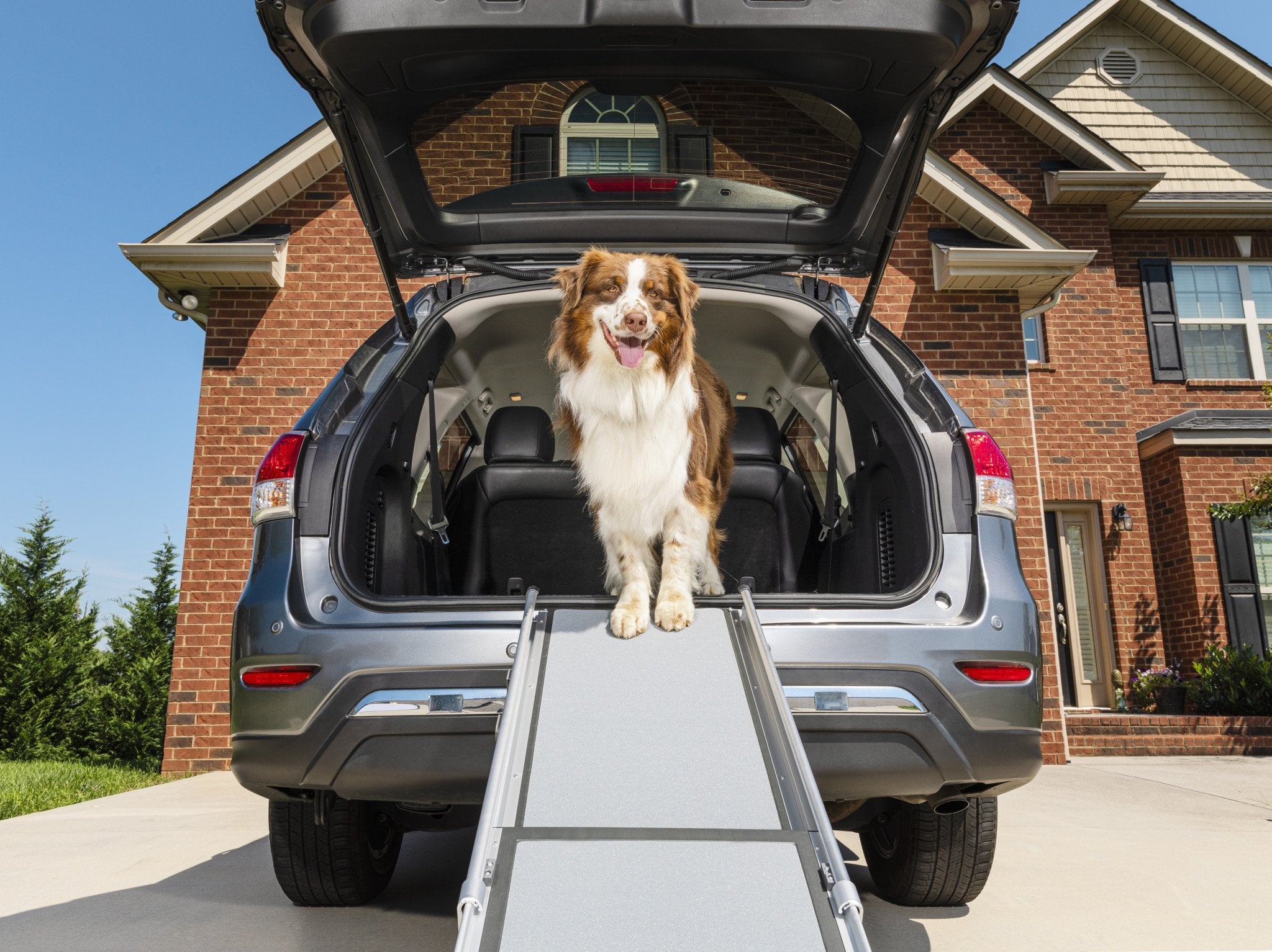PetSafe® Happy Ride™ Deluxe Telescoping Dog Ramp