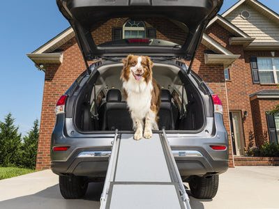 PetSafe® Happy Ride™ Deluxe Telescoping Dog Ramp - Just For Pets Australia