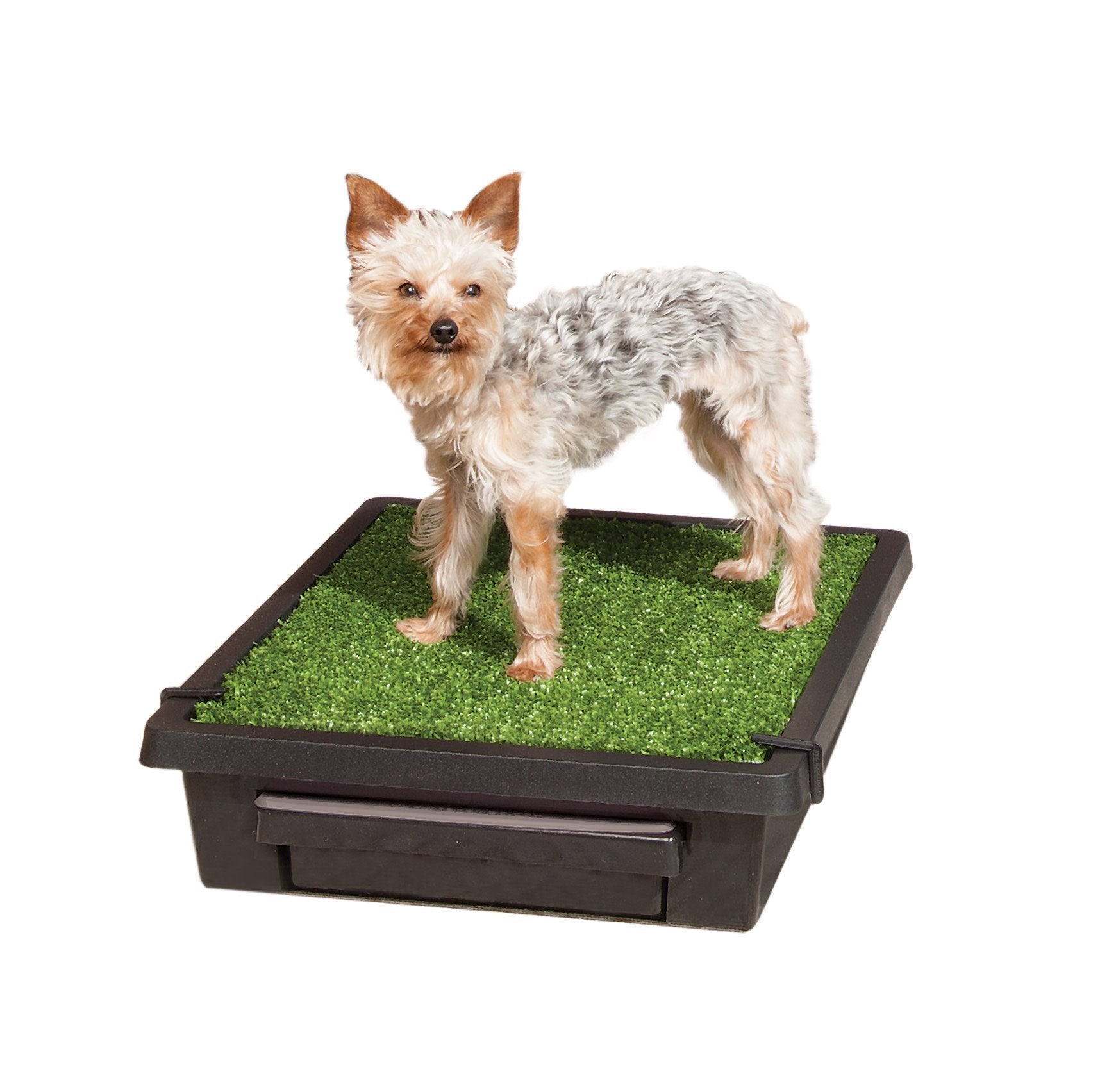 PetSafe® Pet Loo™ Portable Pet Toilet