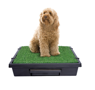 PetSafe® Pet Loo™ Portable Pet Toilet - Just For Pets Australia