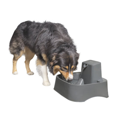 PetSafe® Drinkwell® Pet Fountain - Just For Pets Australia