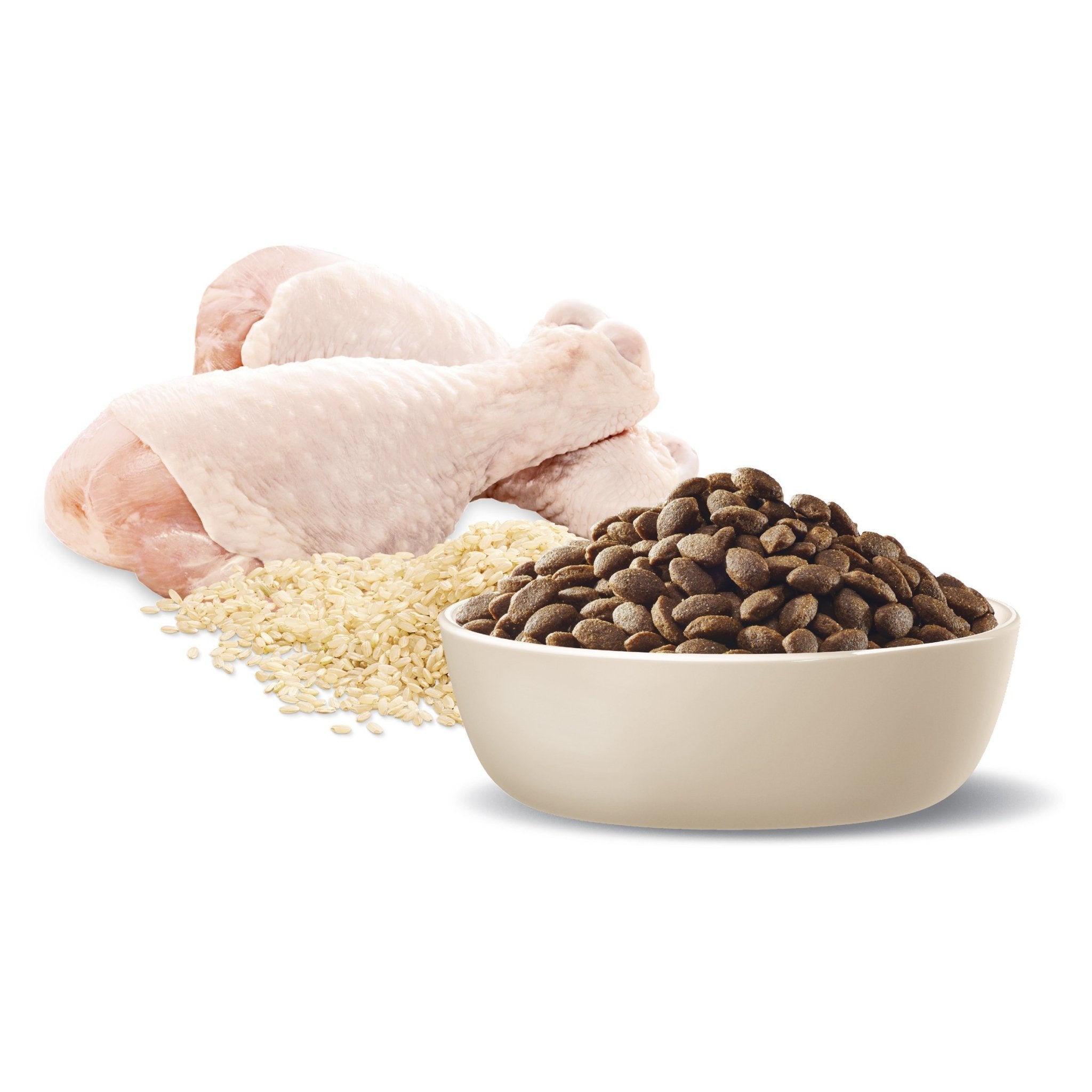 ADVANCE Large Puppy Dry Dog Food Chicken with Rice