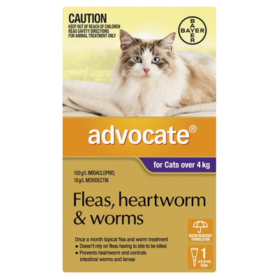 Advocate Fleas, Heartworm & Worms For Cats Over 4kg - Just For Pets Australia