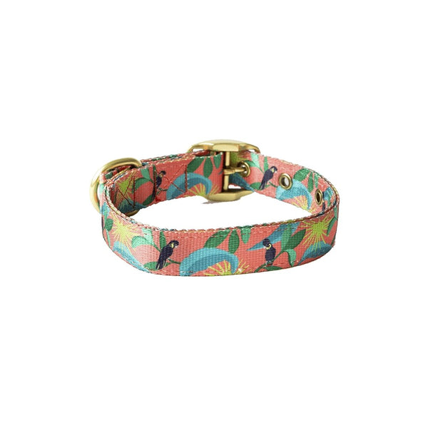 Anipal Dog Products