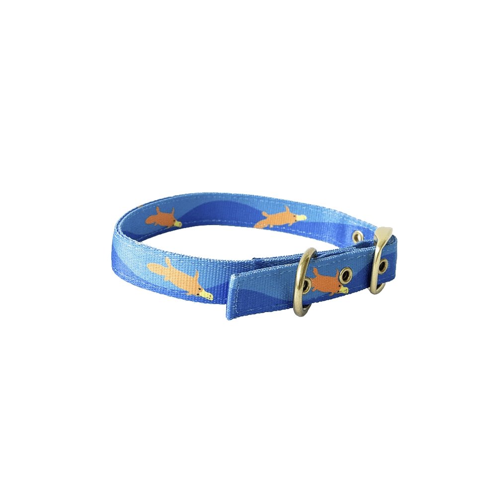 Anipal Piper the Platypus Dog Collar
