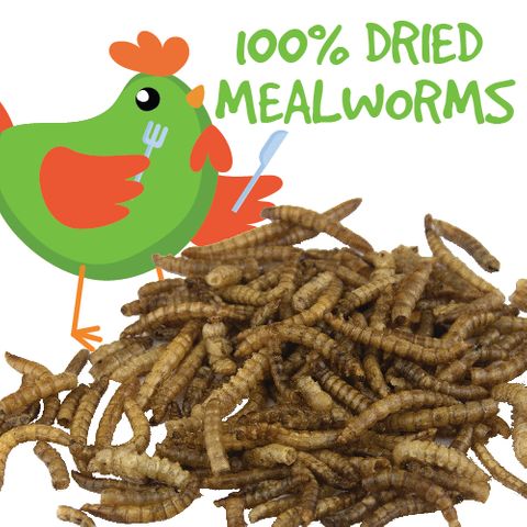 Bainbridge Mealworms
