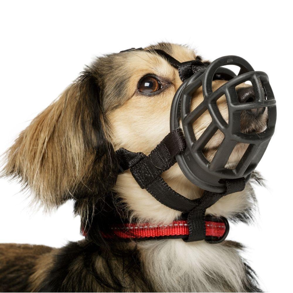 Company of animals baskerville rubber ultra muzzle Clearance