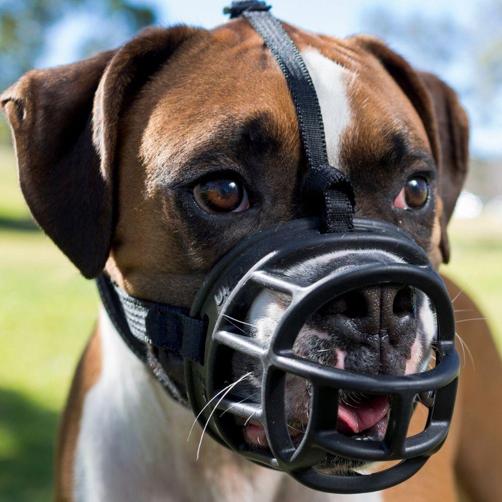 Baskerville Ultra Muzzle Just For Pets Australia
