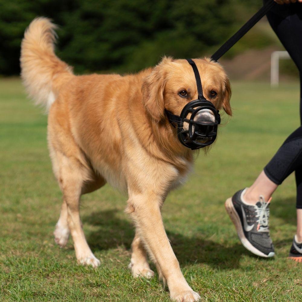 Baskerville Ultra Muzzle Just For Pets Australia