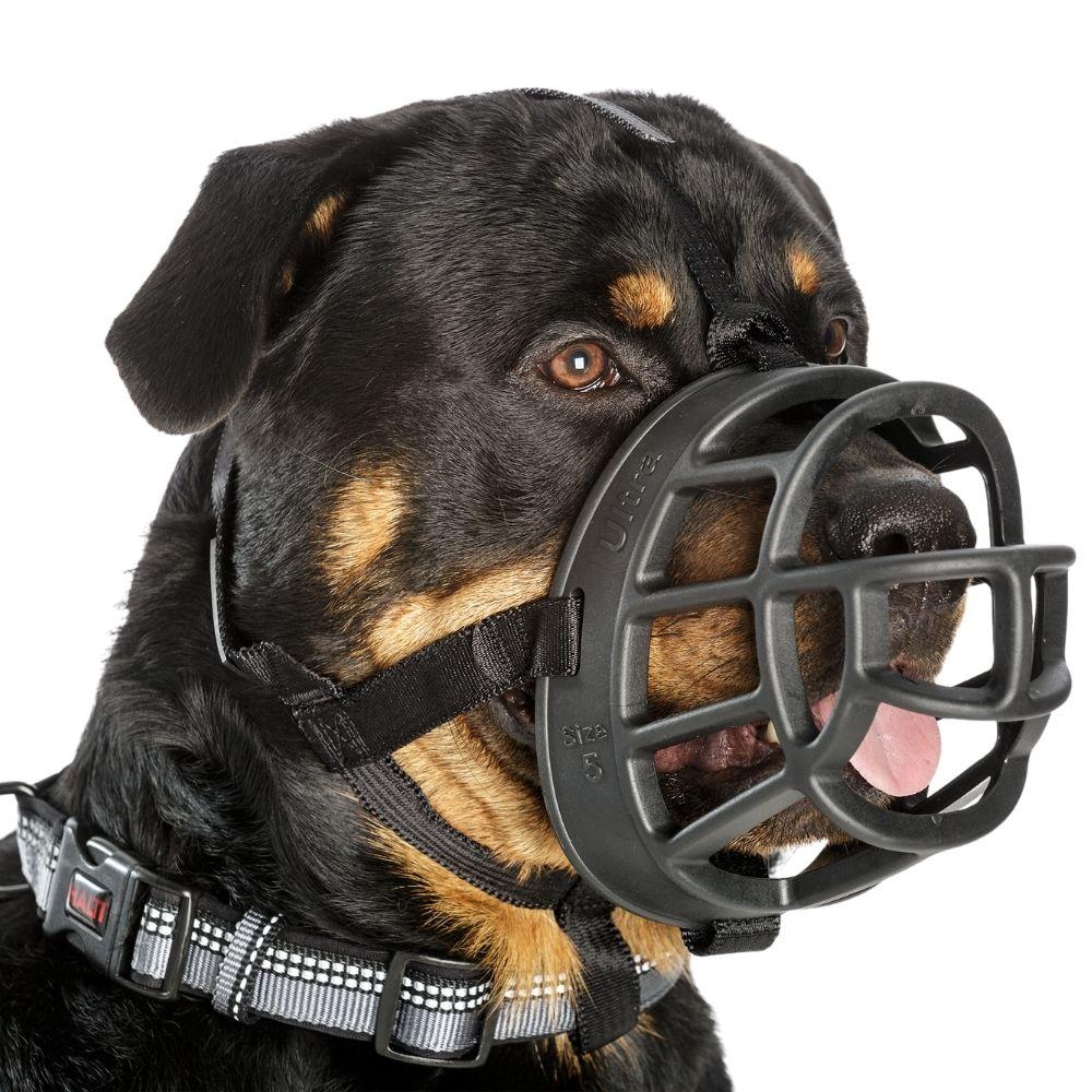 Baskerville Ultra Muzzle Just For Pets Australia
