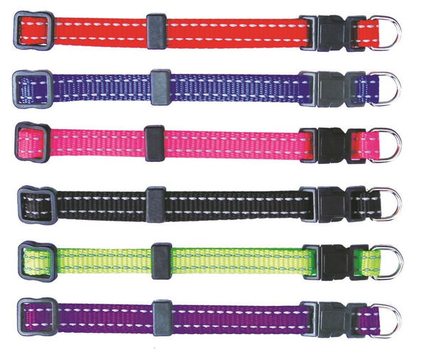 Puppy & Kitten Leads and Collars