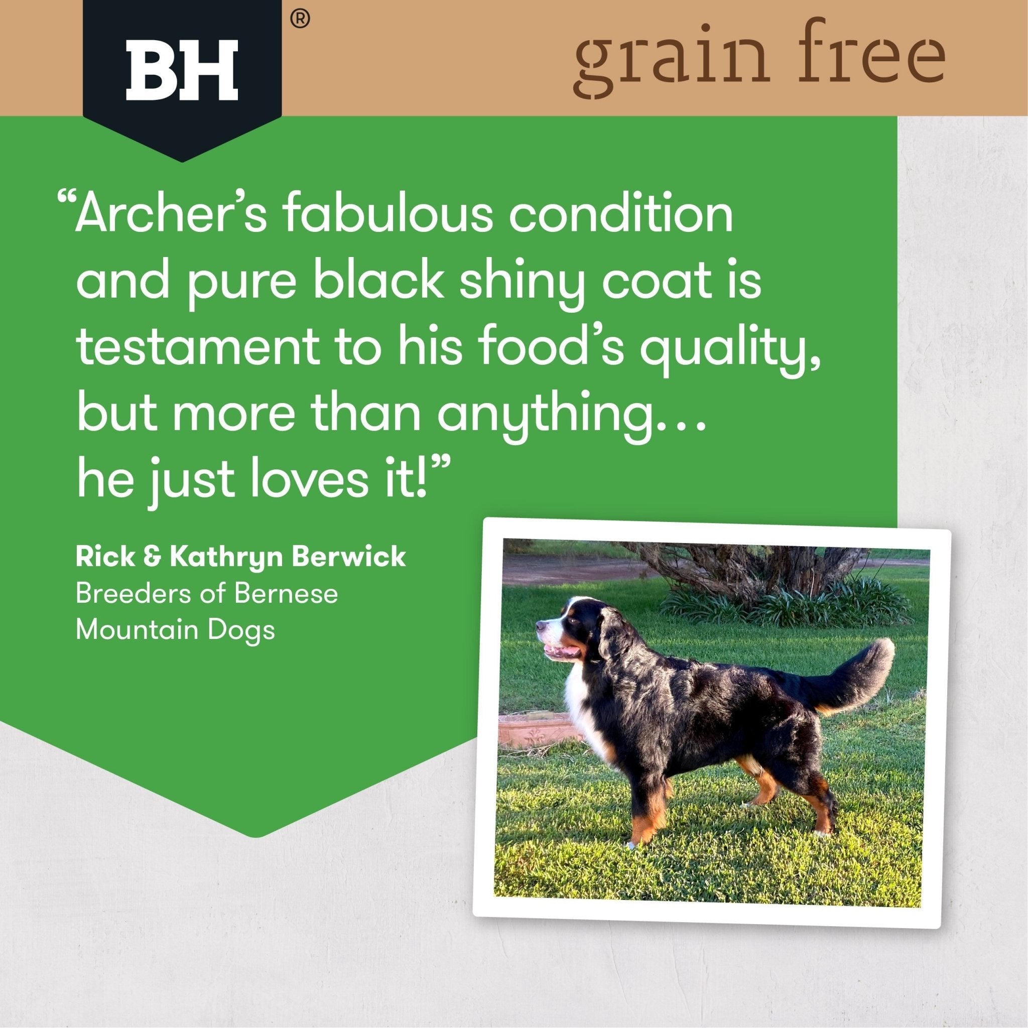 Black Hawk Grain Free Adult Chicken Large Breed Dry Dog Food 15kg