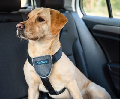 CarSafe Travel Harness - Just For Pets Australia