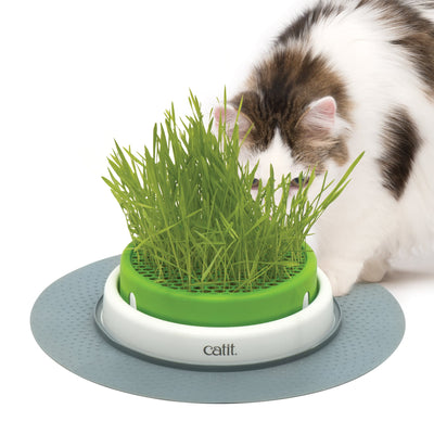 Catit Senses Grass Planter - Just For Pets Australia
