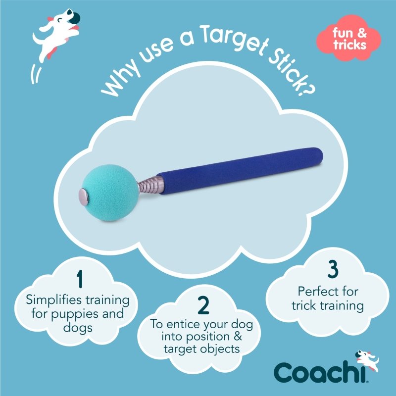 Coachi Target Stick Navy & Light Blue