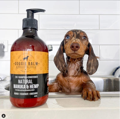 DoggieBalm Natural Manuka & Hemp Shampoo and Conditioner - Just For Pets Australia
