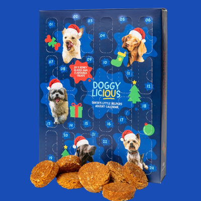 Doggylicious Advent Calendar - Just For Pets Australia