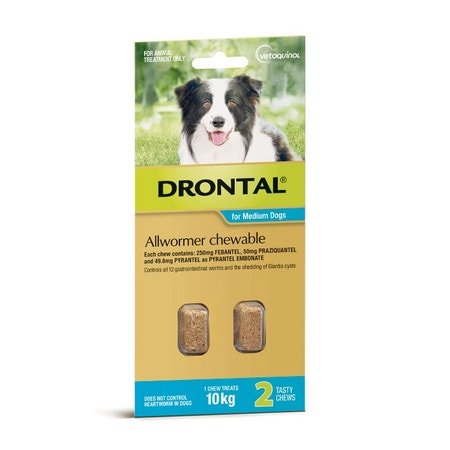 Drontal Allwormer Chewable Medium Dog up to 10kg