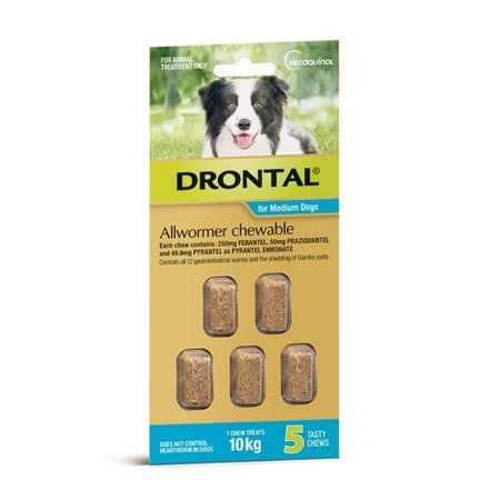 Drontal Allwormer Chewable Medium Dog up to 10kg