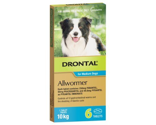 Drontal Allwormer Tablet Medium Dog up to 10kg 6 Pack