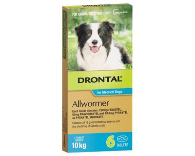 Drontal Allwormer Tablet Medium Dog up to 10kg 6 Pack - Just For Pets Australia