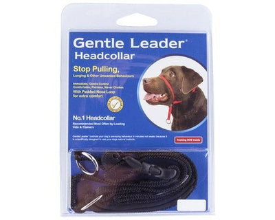 Gentle Leader Head Collar - Just For Pets Australia