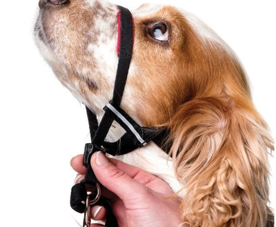 Halti Optifit Head Collar - Just For Pets Australia