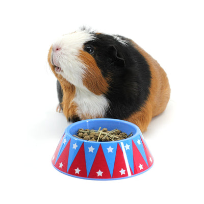 HayPigs! Junior Food Tamer Mini Food Bowl - Just For Pets Australia