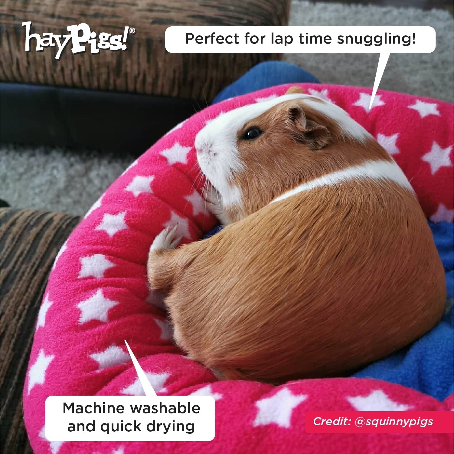 HayPigs! Piggy Crash Mat Fleece Bed
