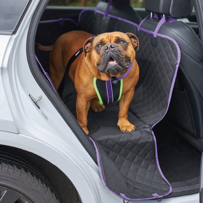 Kazoo Car Seat Cover - Just For Pets Australia