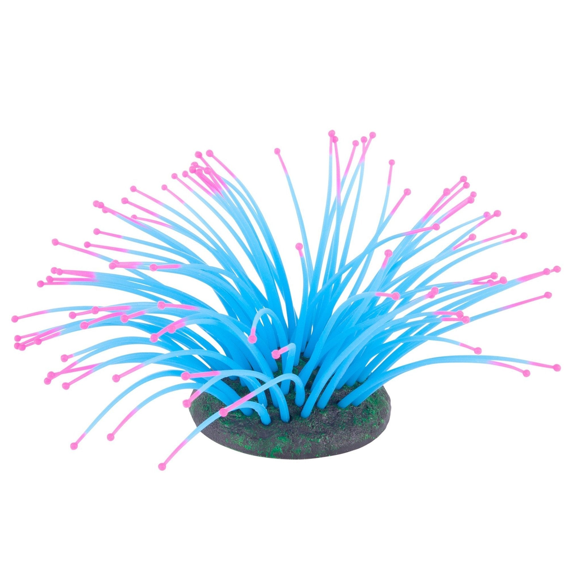 Kazoo Silicone Plant - Sea Anemone  Small Blue/Pink
