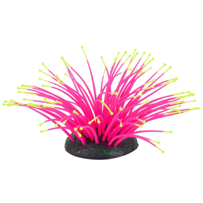 Kazoo Silicone Plant - Sea Anemone Small Pink/Yellow - Just For Pets Australia