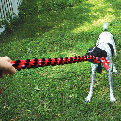 KONG Signature Rope Double Ring Tug - Just For Pets Australia