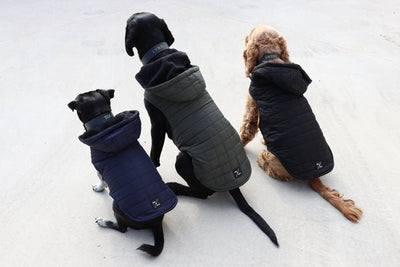 Mog and Bone Puffer Jackets - Just For Pets Australia